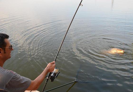 Interesante :) - andrei-vladeanu.jpg